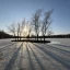 Екатерининский парк в марте, Пушкин, Санкт-Петербург 7