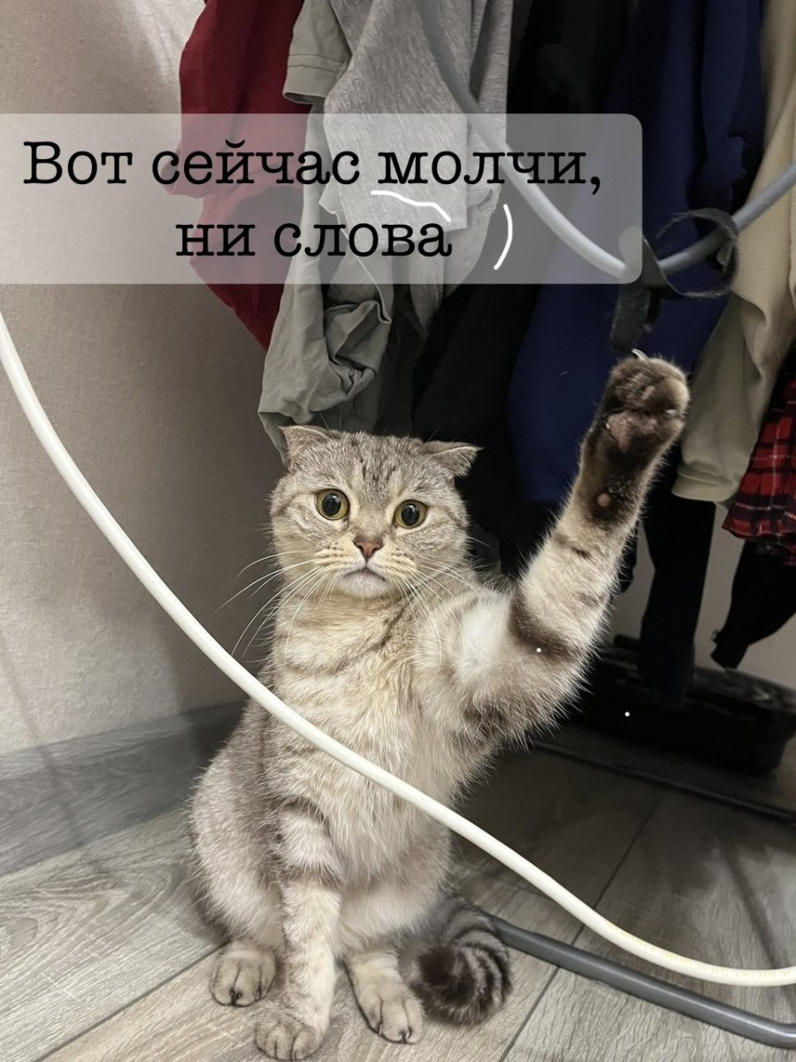 Вот сейчас молчи, ни слова