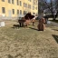 В Псков на выходные, большая пешеходная прогулка 12