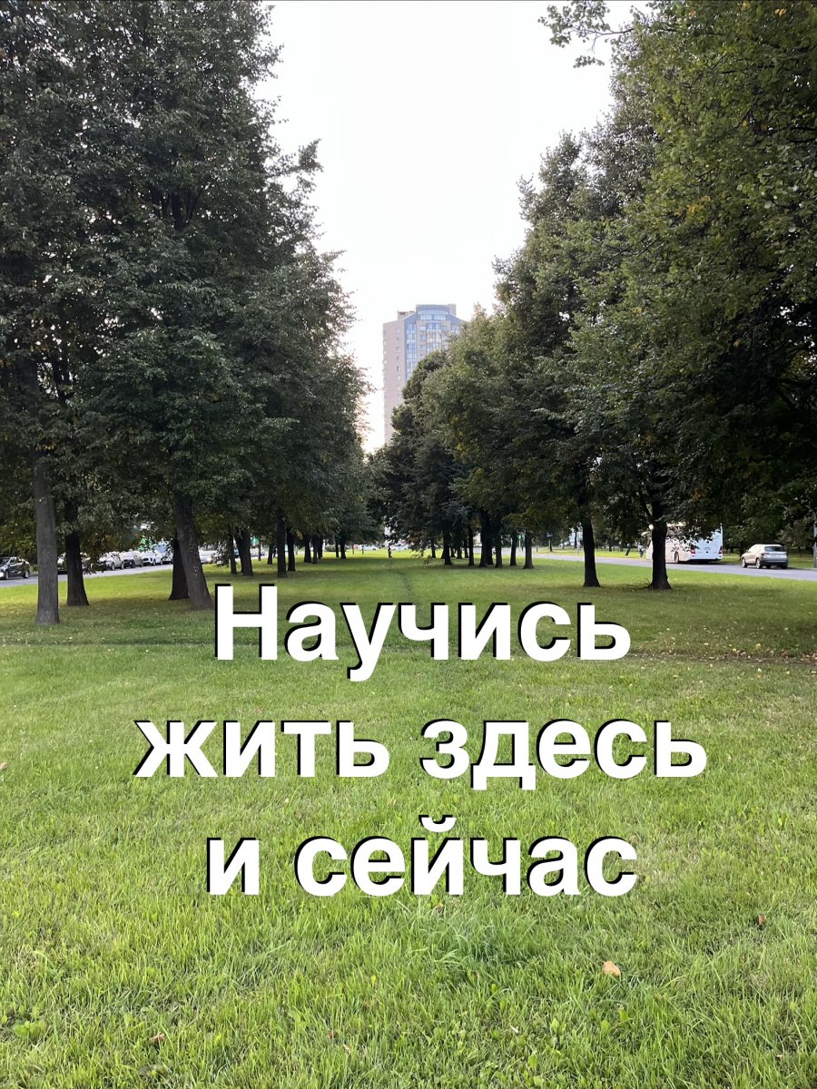 Научись жить здесь и сейчас