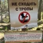 Таблички из Калининграда 9