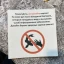 Таблички из Калининграда 3