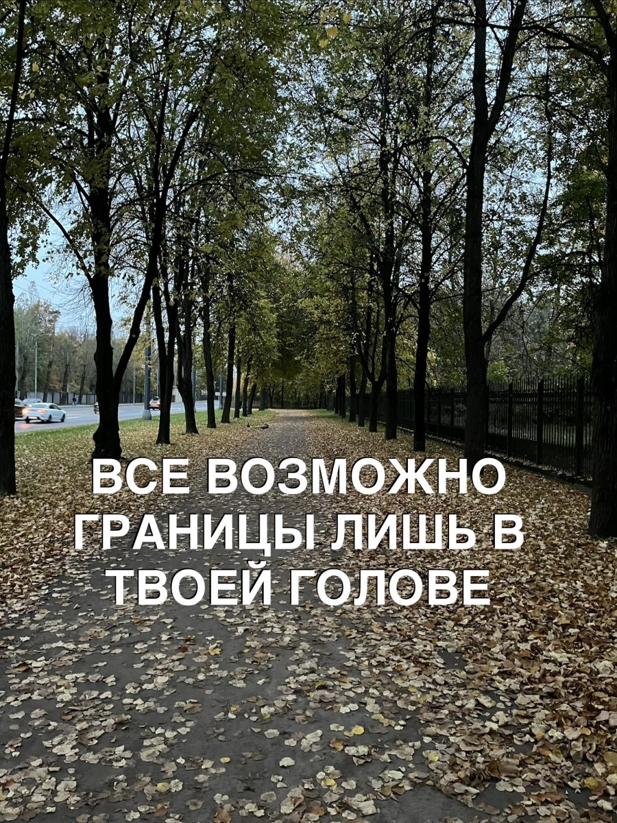 Все возможно границы лишь в твоей голове