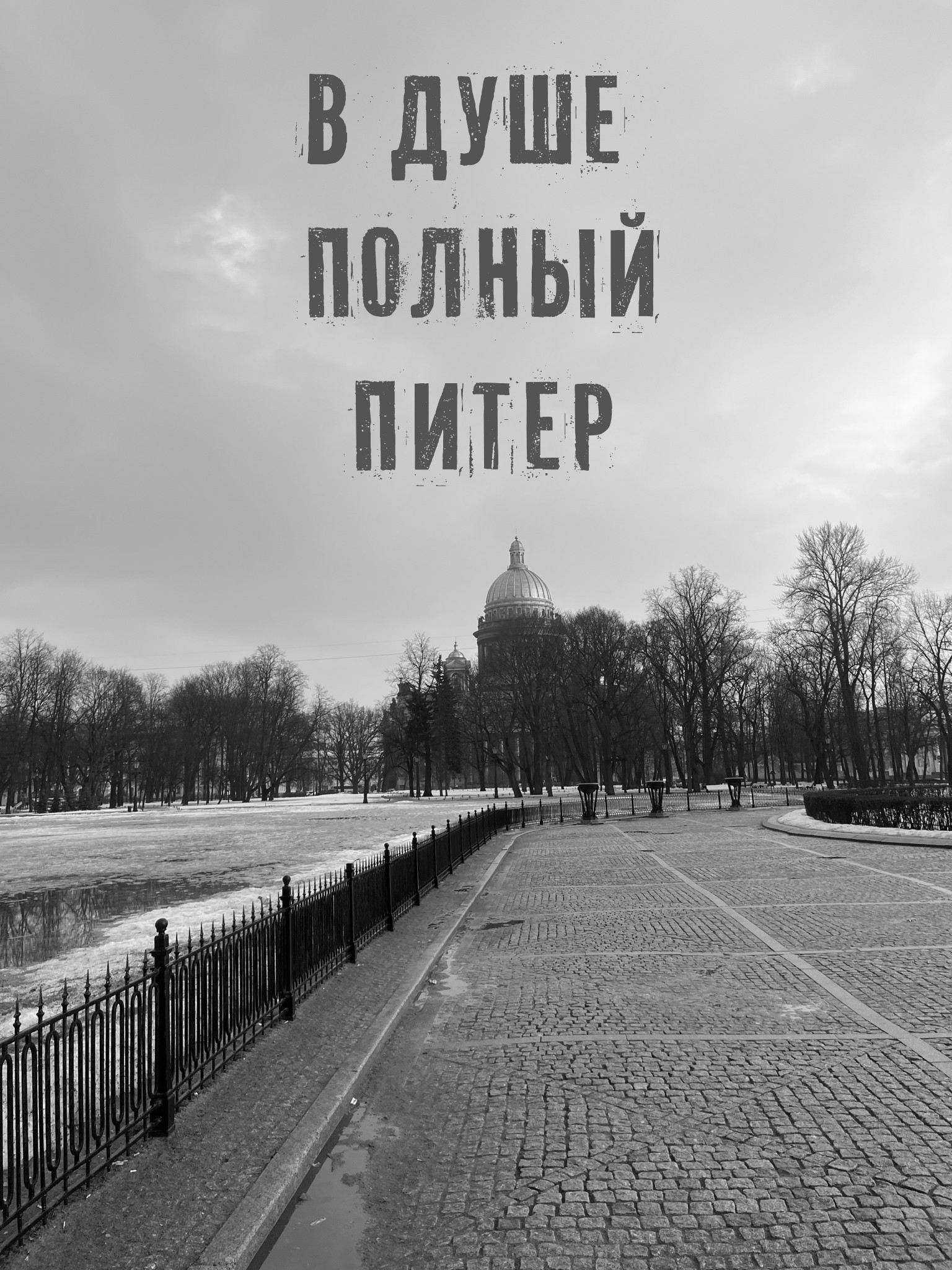 В душе полный Питер