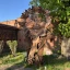 Музей янтаря, Калининград 39