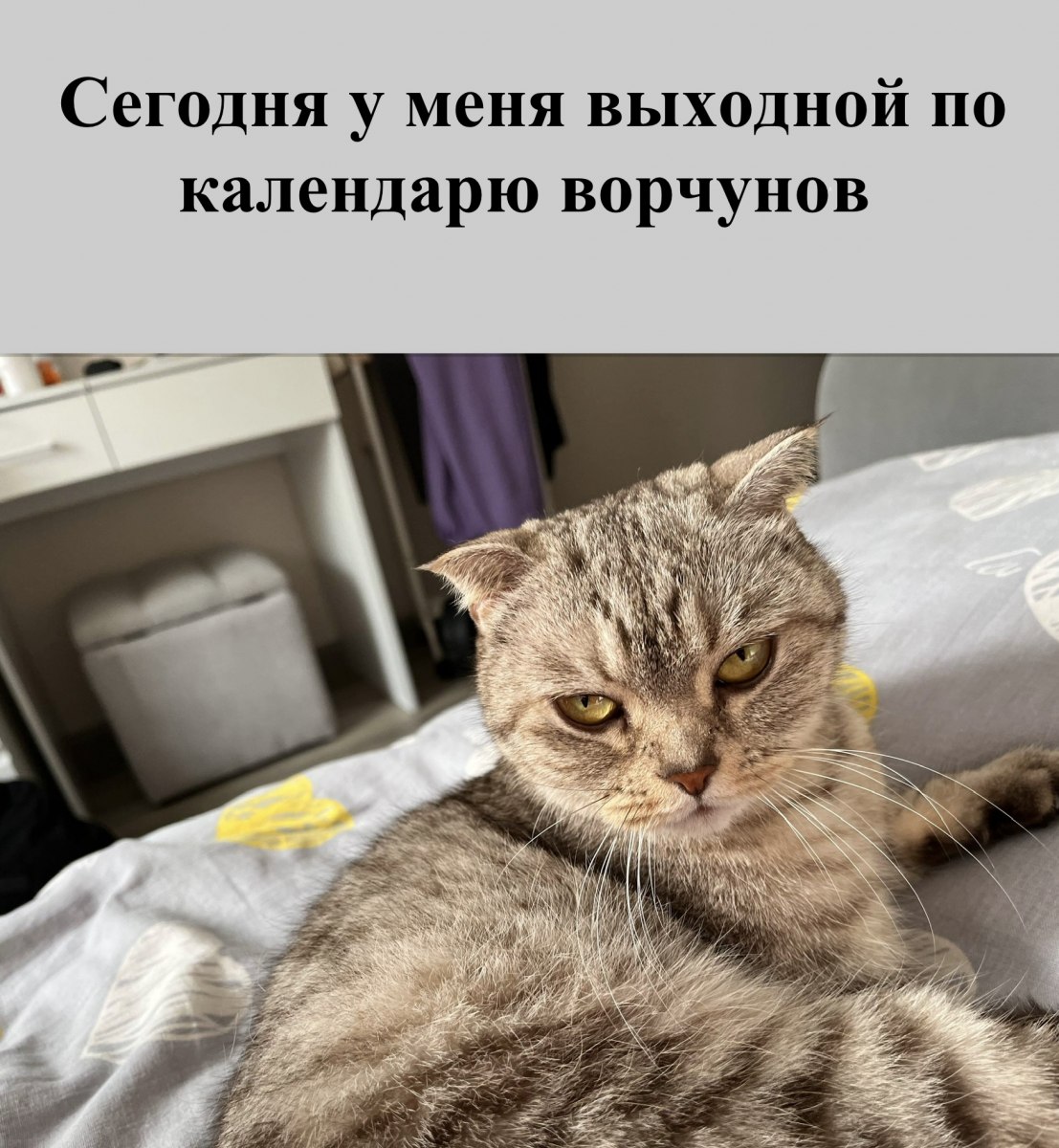 Сегодня у меня выходной по календарю ворчунов