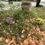 Памятник влюблённым Карлу и Эмилии в Санкт‑Петербурге: история и новое место 1